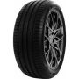 Легковая шина Delinte DS2 245/50 R18 100W